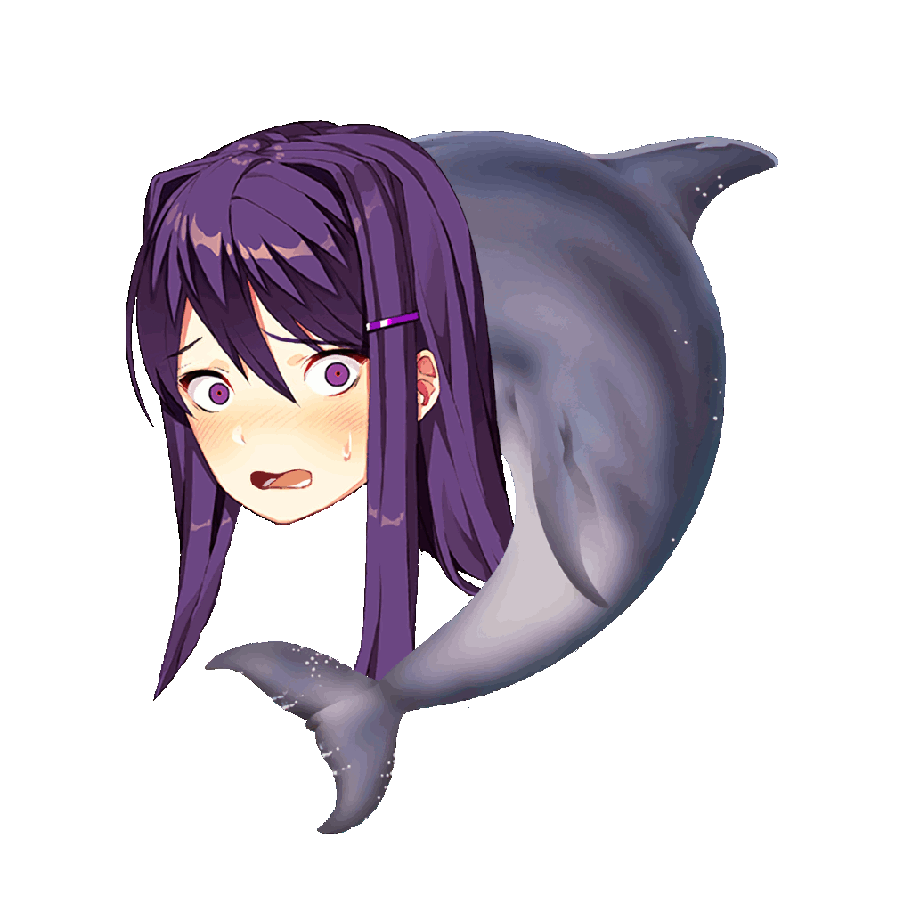 DolphinYuri
